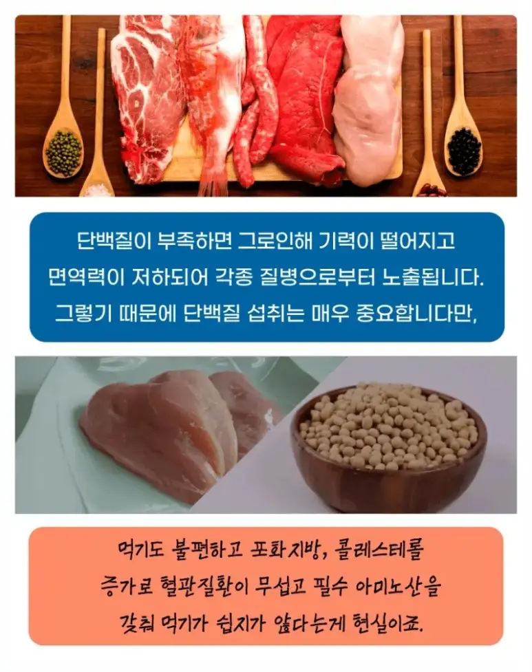태반주사