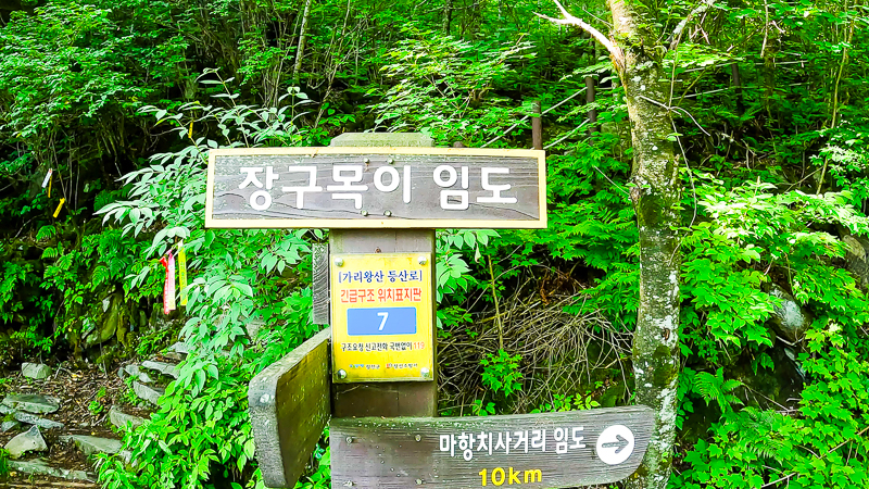 장구목이 임도