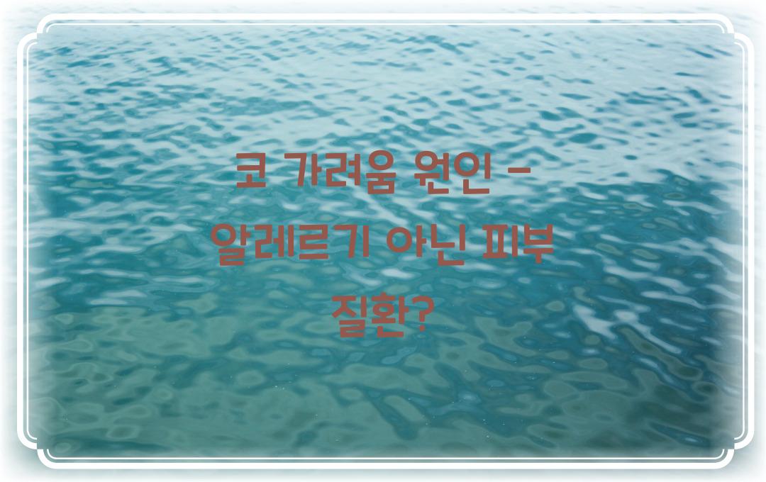 코 가려움 원인 - 단순한 알레르기? 혹시 피부 질환일까?