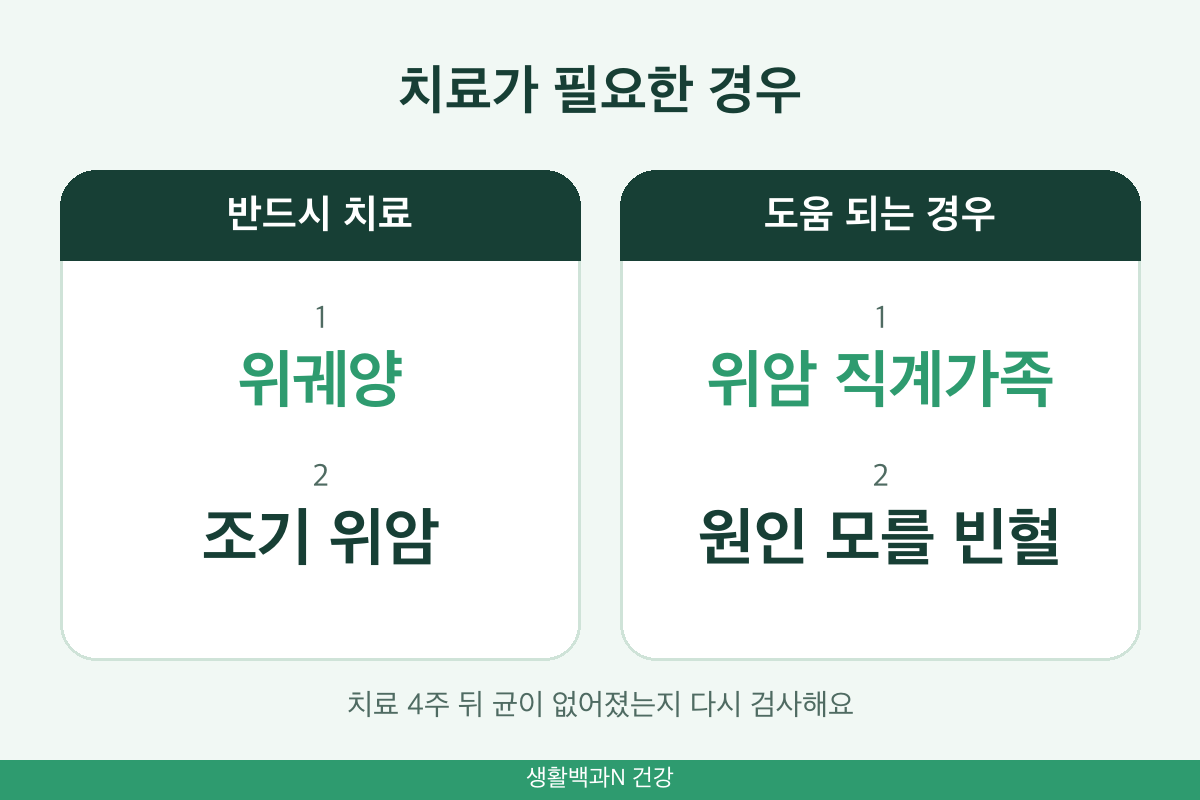 헬리코박터균 양성 치료 대상 위궤양 조기 위암 위암 가족력 철 결핍성 빈혈 재검사