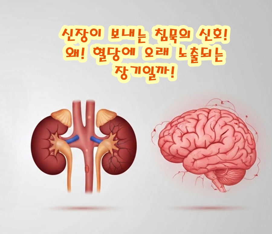 신장이 보내는 침묵의 신호! 혈당에 오래 노출되는 장기일까!