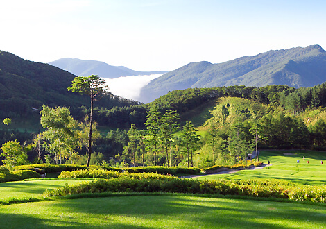 강원도 골프장 추천 순위 Top 10, 골프장 가격