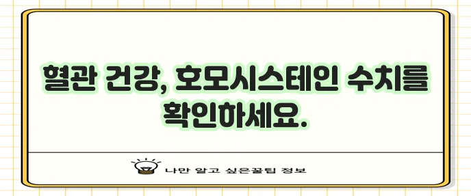호모시스테인이란 무엇이고 정상수치는 얼마일까요?
