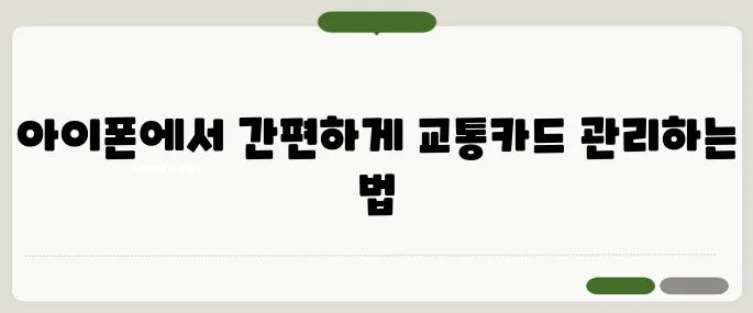 아이폰 교통카드 정리 한 번에 정리했어요