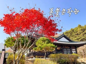 남원 가볼만한곳 추천 카페 맛집 반려견 숨은 명소_8
