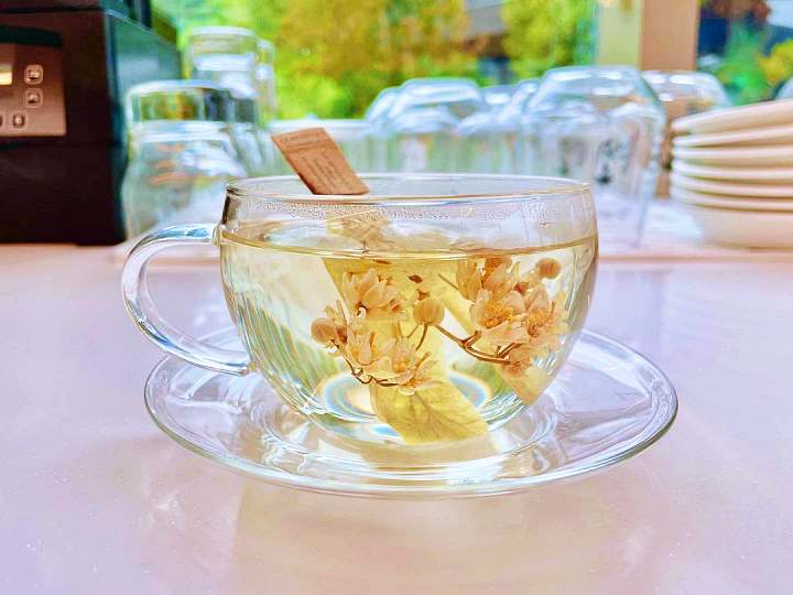 생방송오늘저녁 제주 인생샷 핫스팟 크림 쇼콜라 커피 디저트 3,500평 동백 가드닝 베이커리 카페 맛집 추천