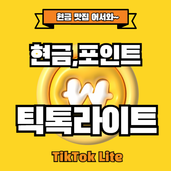 틱톡라이트