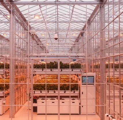 청송자연스마트팜 개요와 특징 섹션 이미지