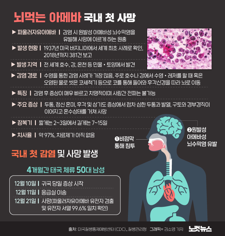Naegleria fowleri(네글레리아 파울러리)