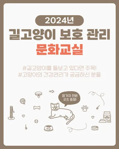 길고양이 먹이