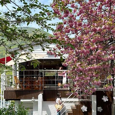 고령층 의료비 본인부담 경감 제도 혜택 총정리 &amp;#124; 자녀라면 꼭 알아야 할 꿀팁