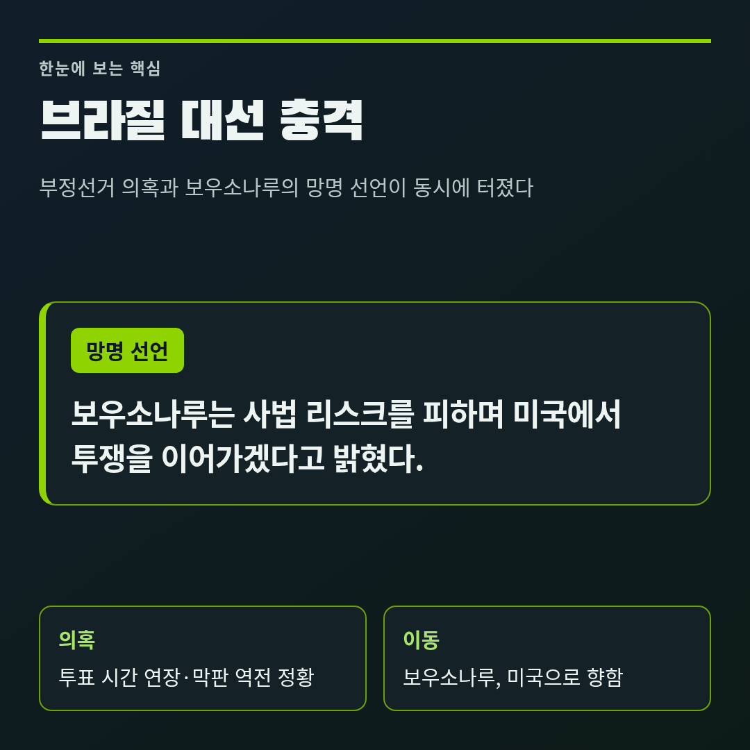브라질 대선 충격
