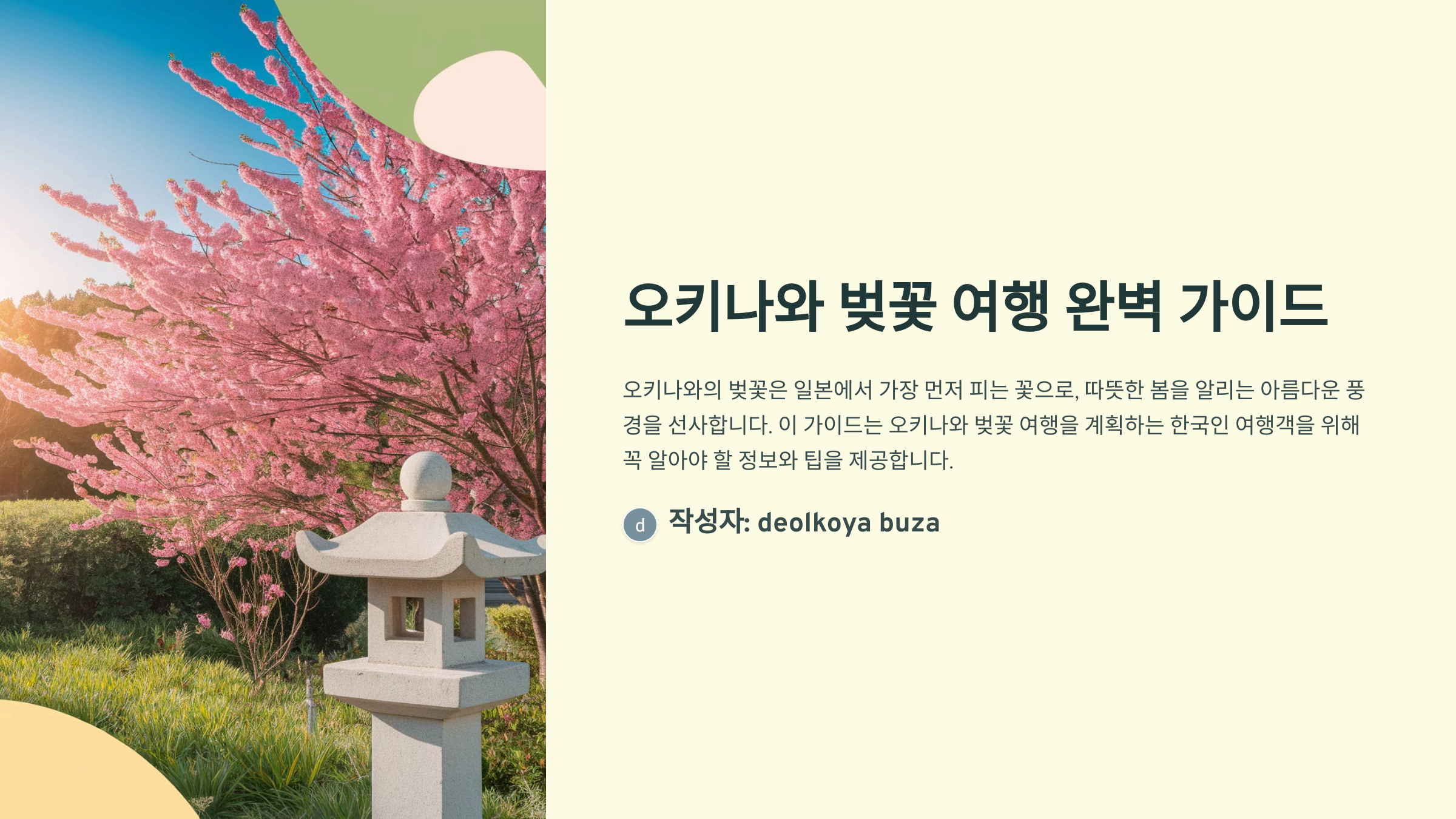 오키나와 벚꽃 개화 시기 및 여행 가이드