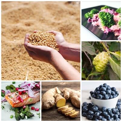 관절염에 좋은 음식