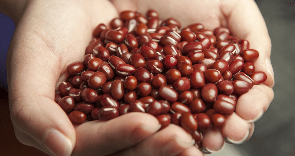 콩팥에 좋은 음식 사진 - 7