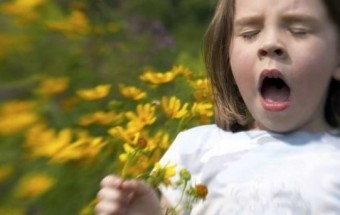 2024년갑진년청룡의해월별건강이야기