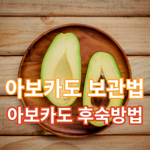 아보카도-보관법-아보카도-후숙방법-건강