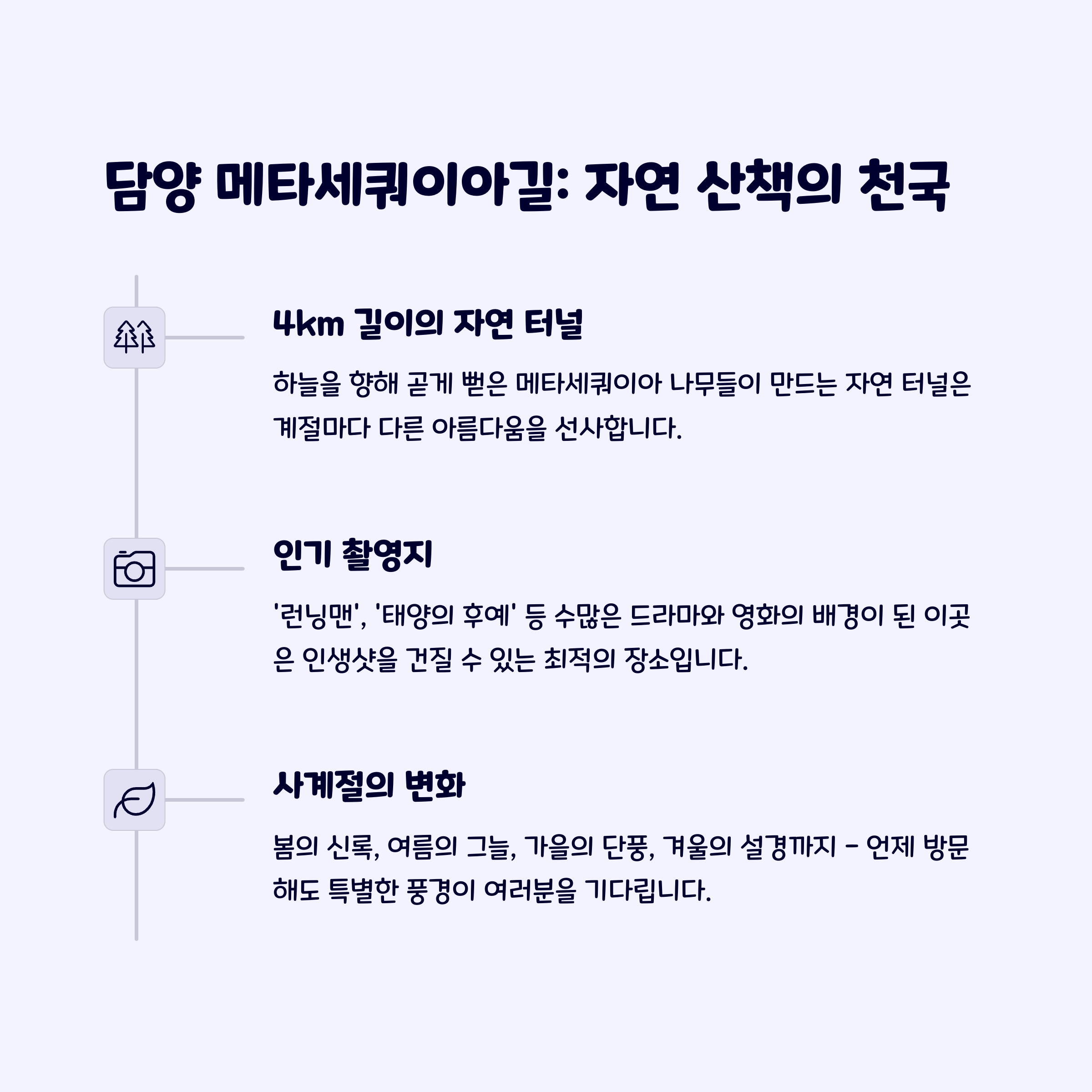 메타세쿼이아길
