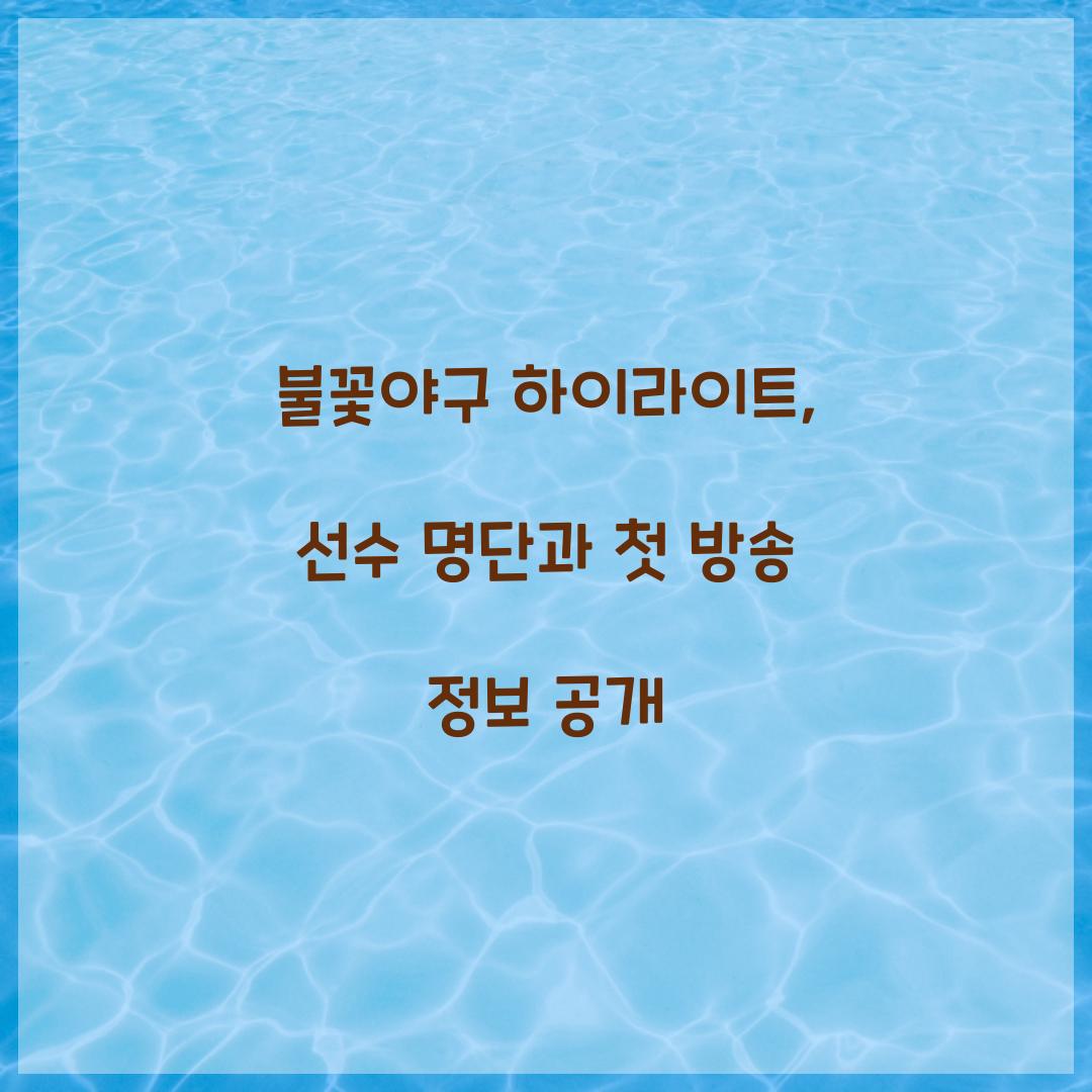 불꽃야구 하이라이트