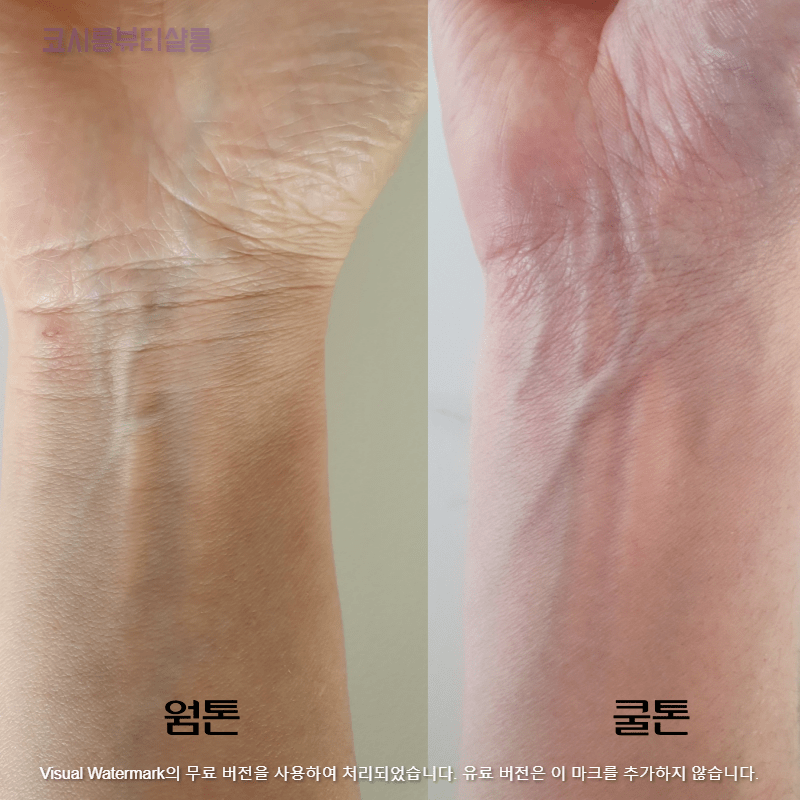 웜톤쿨톤비교
