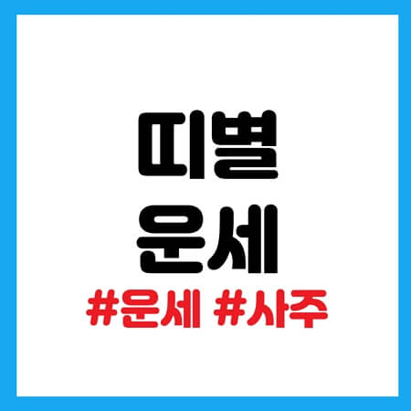 띠별 운세
