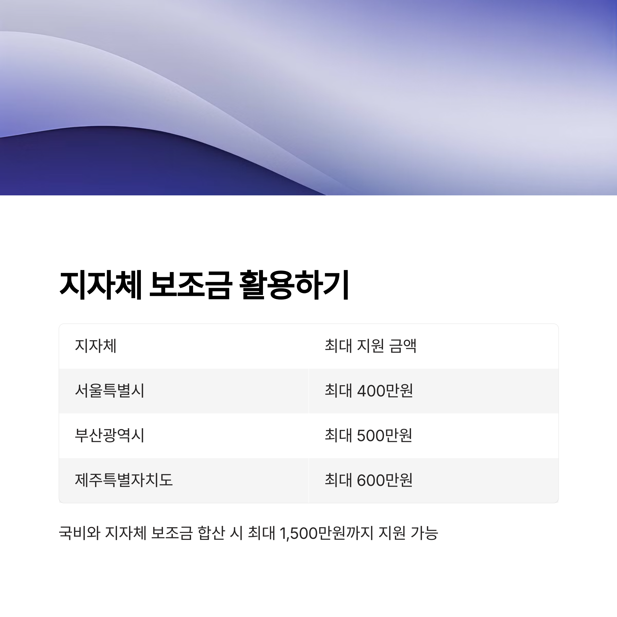 지자체 보조금과 병행 방법