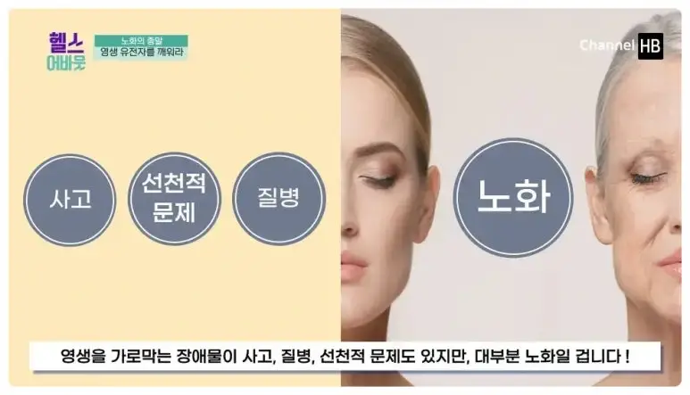 일본nmn효능