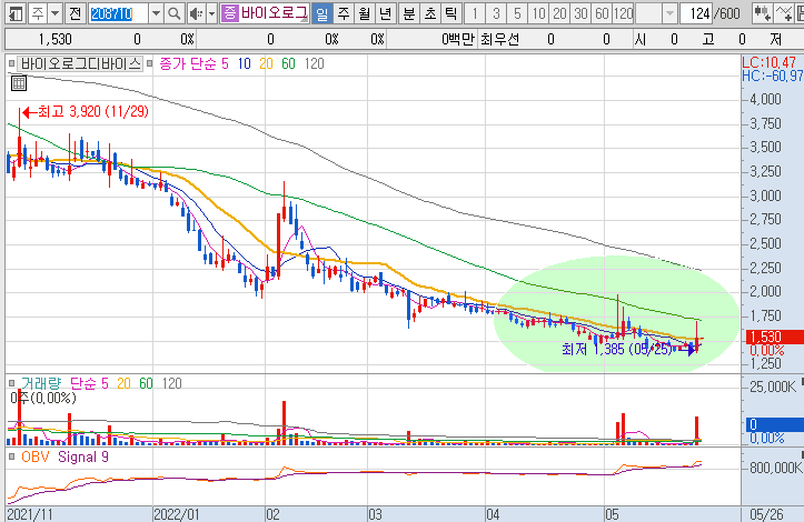 바이오로그디바이스-주가-흐름-차트