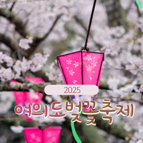 2025 여의도 벚꽃축제