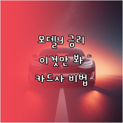 테슬라 모델Y RWD 할부 금리 인하..