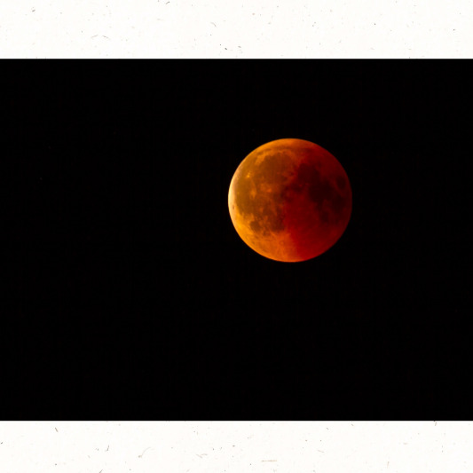 삼각대와 타이머로 흔들림 최소화