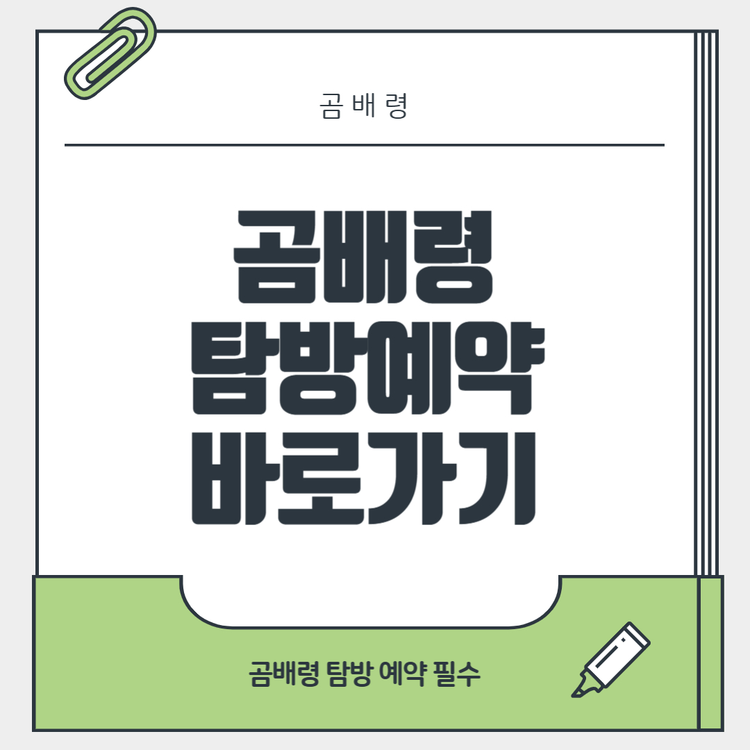 점봉산 곰배령 예약 숙소 등산코스 예약사이트 예약방법 안내