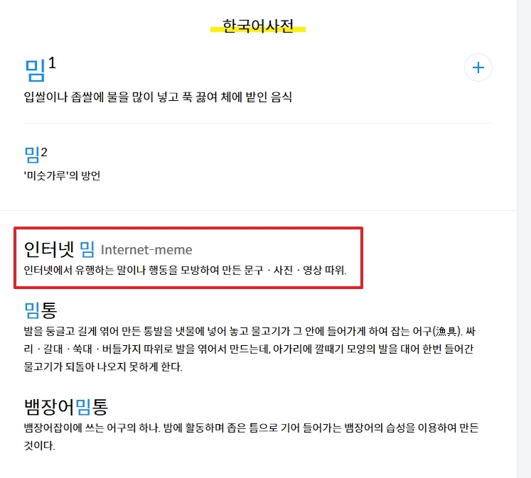 '인터넷 밈' 사전 검색 결과 확인
