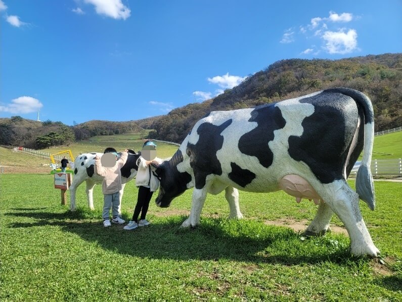 양떼목장-젖소구조물