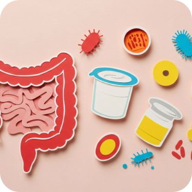 프로바이오틱스 유산균 추천