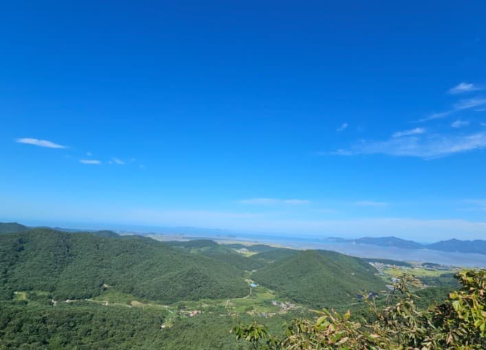 2025 고창 청농원 라벤더 축제: 보랏 빛 힐링의 계절이 돌아왔다!