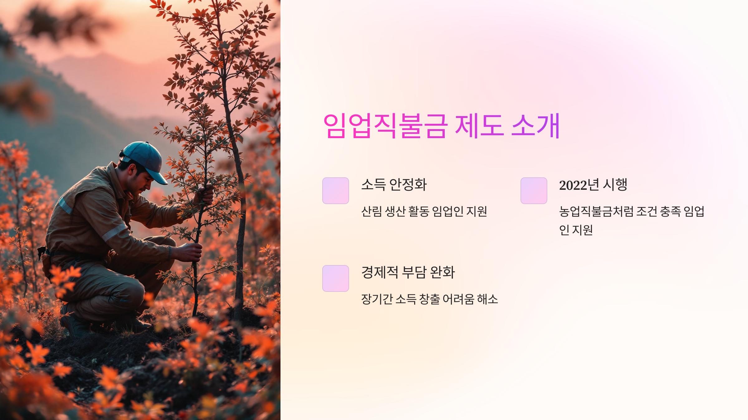 임업직불금 제도 소개