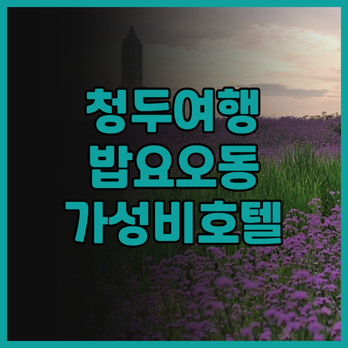 청두 여행객 필독! 밥요오동 앨러간트..