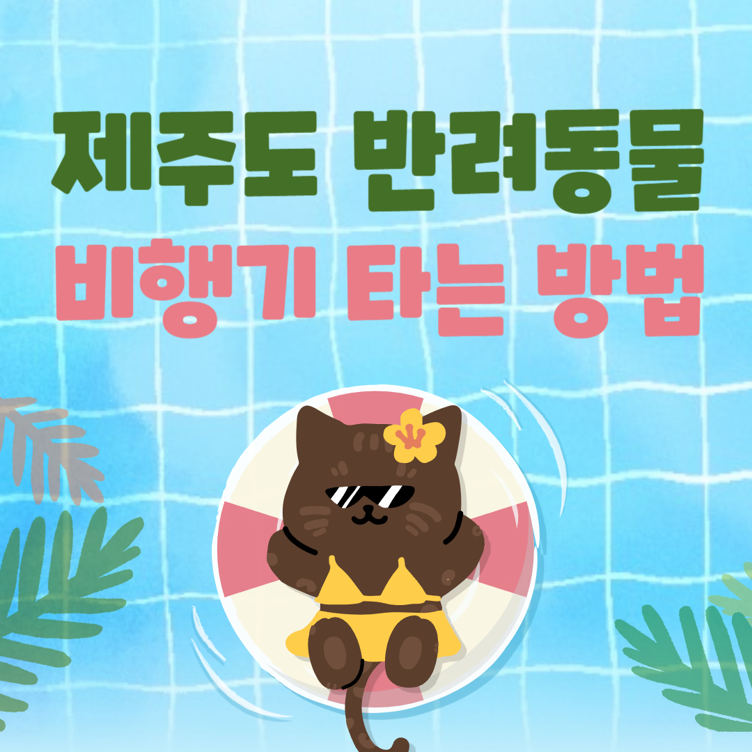 제주도 반려동물 비행기 운송 신청방법