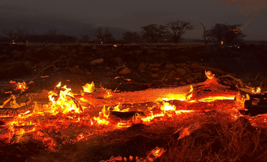 하와이 산불 피해 상황