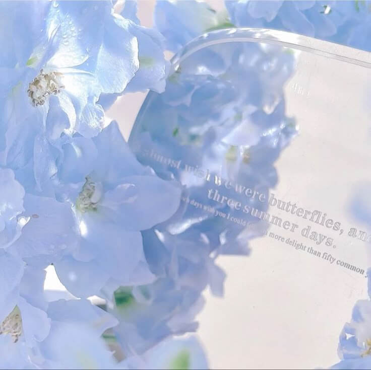 2025 블랙 이글스 에어쇼 일정 기종 대령 전대장 대전 부산 세종 김해