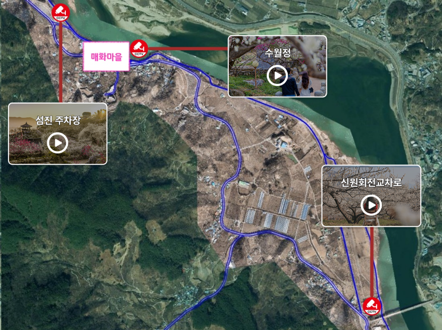 2026 광양 매화축제 총정리｜개화 상황 확인 방법, 주차장 위치, 무료 셔틀버스, 도심권 셔틀 예약