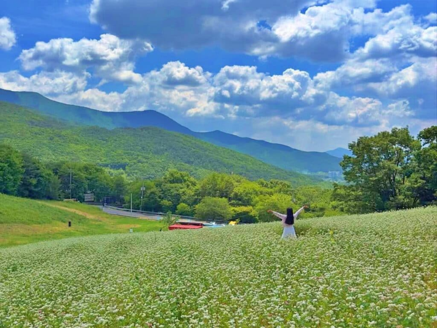 울산여행 명소
