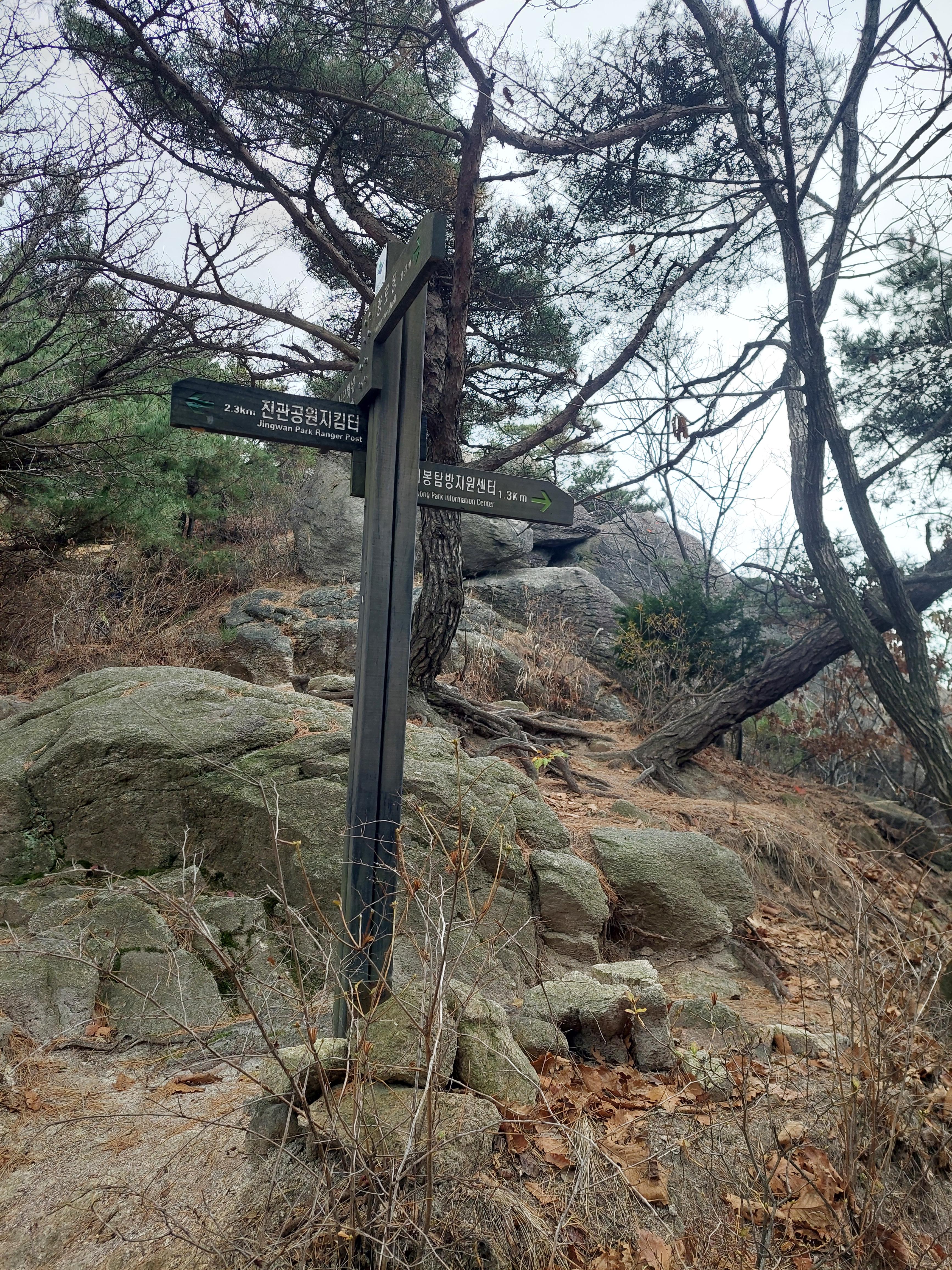 비봉