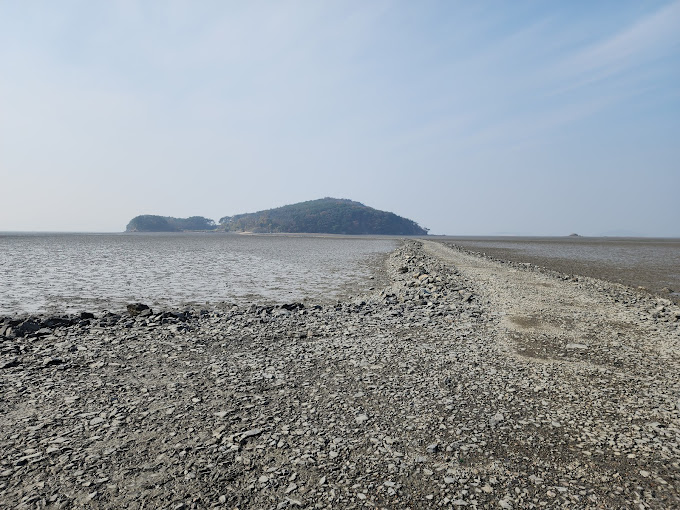 사이렌 불의섬 솔직후기
