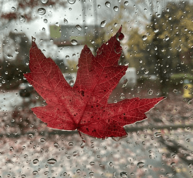 비오는날 자동차 습기 제거 방법