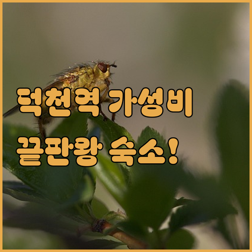 덕천역 인근 가성비 숙소 추천 브라운..