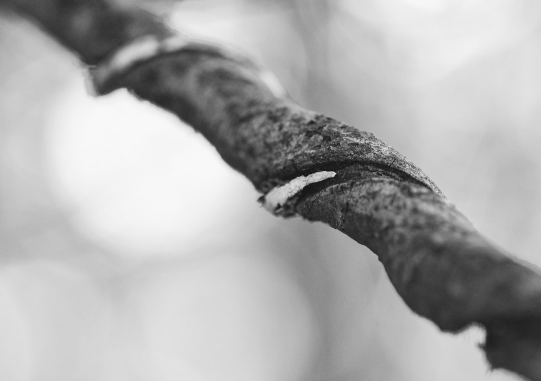 Tension
