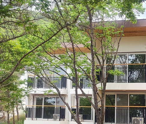 숲나들e 무의도 자연휴양림 국내 여행지 추천 관련사진