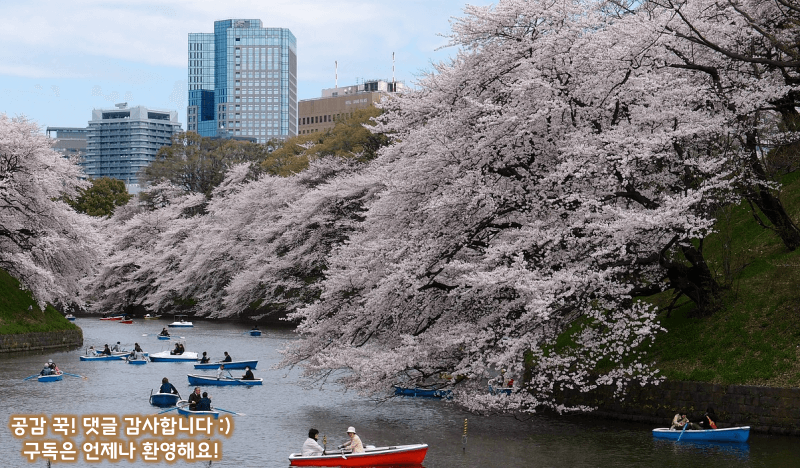꾸준히 인기 좋은 일본여행지